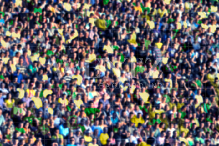 Fundo Fotográfico em Tecido Torcida Copa do Mundo de Futebol / Backdrop 2536