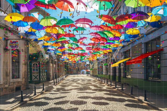 Fundo Fotográfico em Tecido Carnaval de Rua / Backdrop 2575