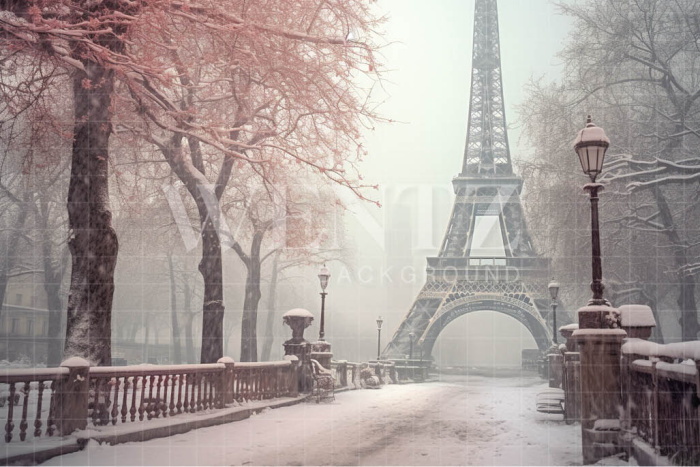 Fundo Fotográfico em Tecido Inverno em Paris / Backdrop 4383