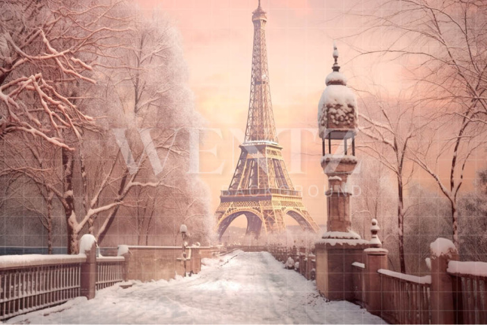 Fundo Fotográfico em Tecido Inverno em Paris / Backdrop 4384