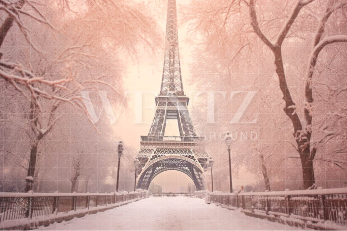 Fundo Fotográfico em Tecido Inverno em Paris / Backdrop 4385