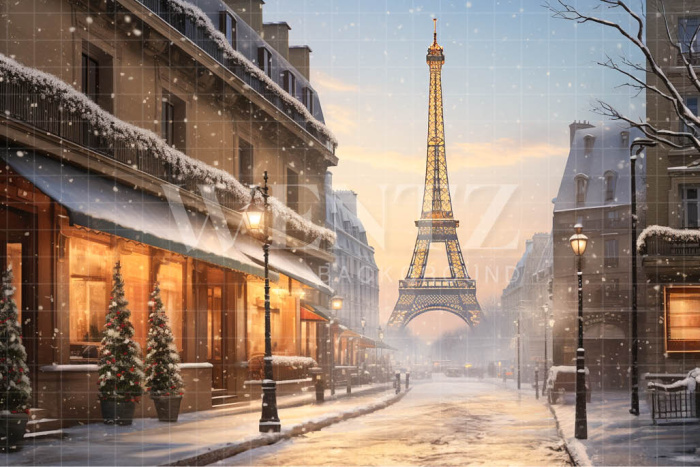 Fundo Fotográfico em Tecido Inverno em Paris / Backdrop 4393