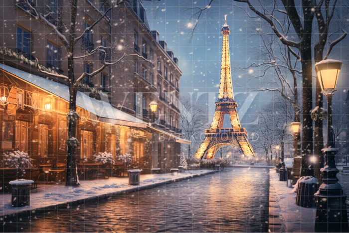 Fundo Fotográfico em Tecido Inverno em Paris / Backdrop 4394