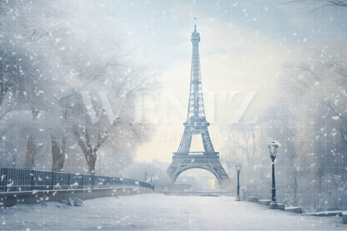 Fundo Fotográfico em Tecido Inverno em Paris / Backdrop 4395