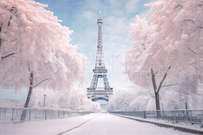 Fundo Fotográfico em Tecido Inverno em Paris / Backdrop 4396