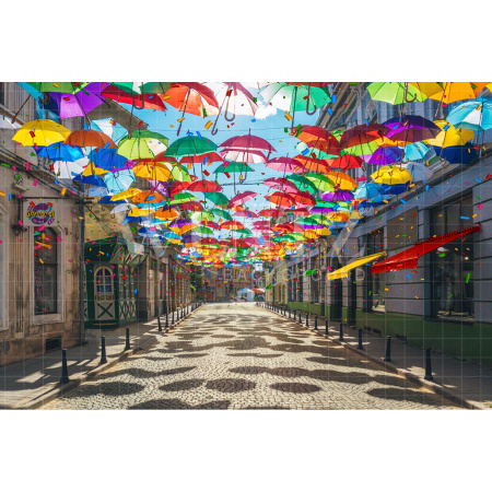 Fundo Fotográfico em Tecido Carnaval de Rua / Backdrop 2575